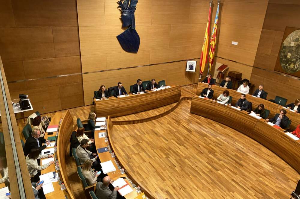 Pleno de la Diputación de Valencia