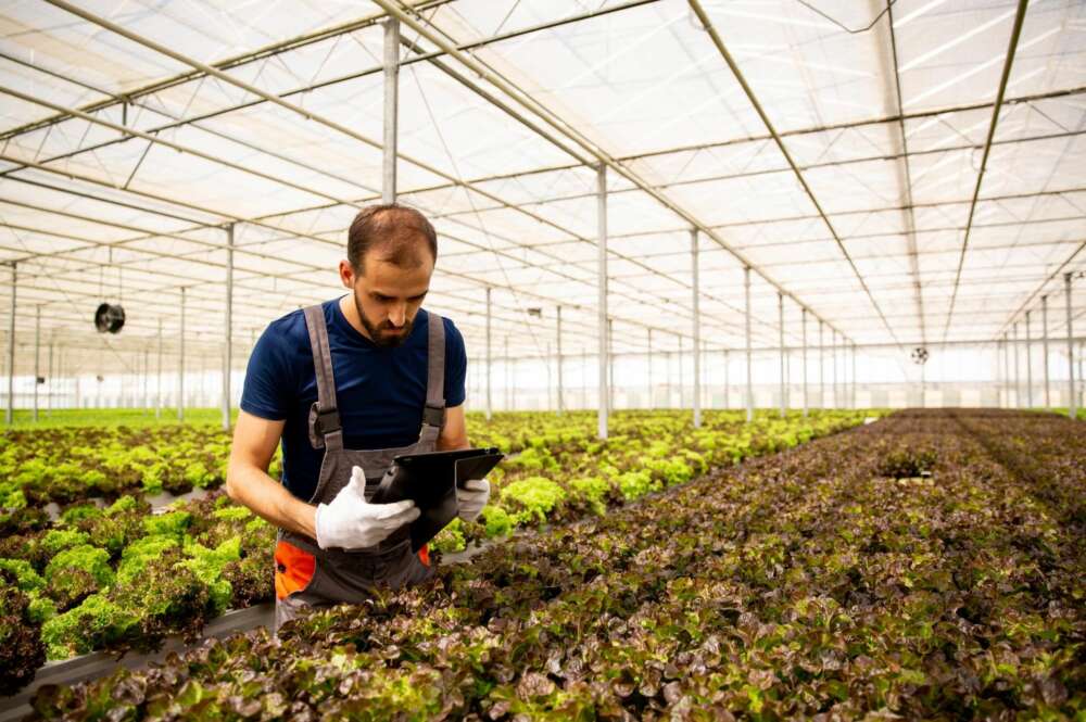 Un trabajador del campo consulta información en una tablet. Foto: Freepik.