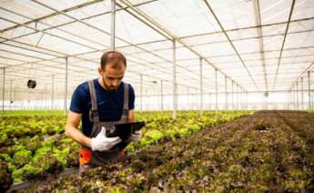 Un trabajador del campo consulta información en una tablet. Foto: Freepik.