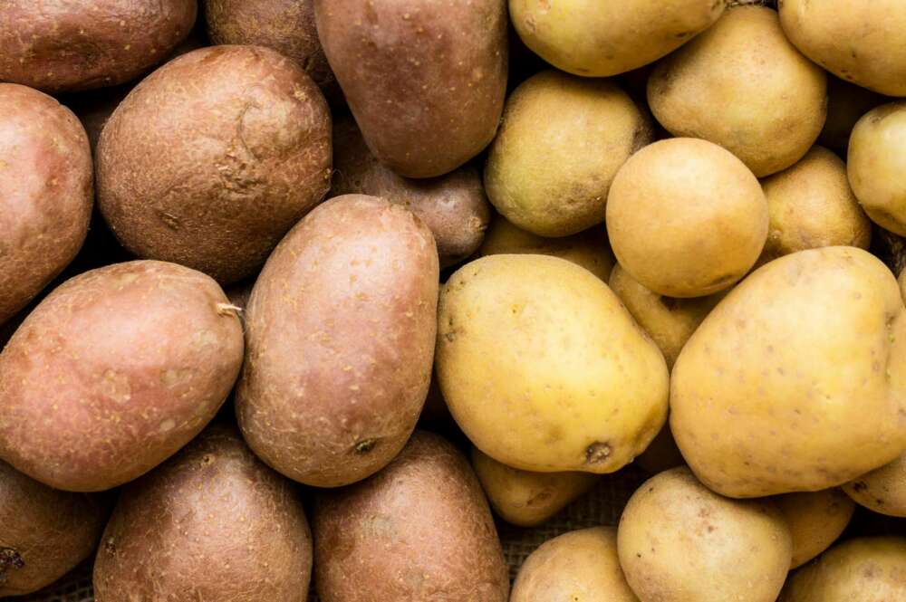 Un conjunto de patatas. Foto: Freepik.