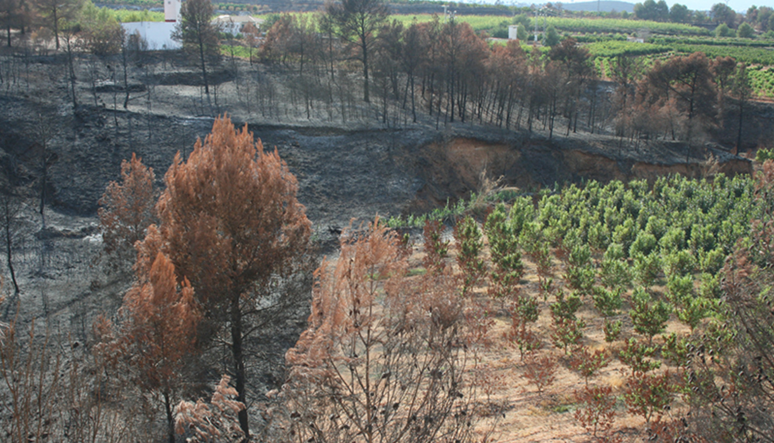 Un incendio. Foto: Fuvama.