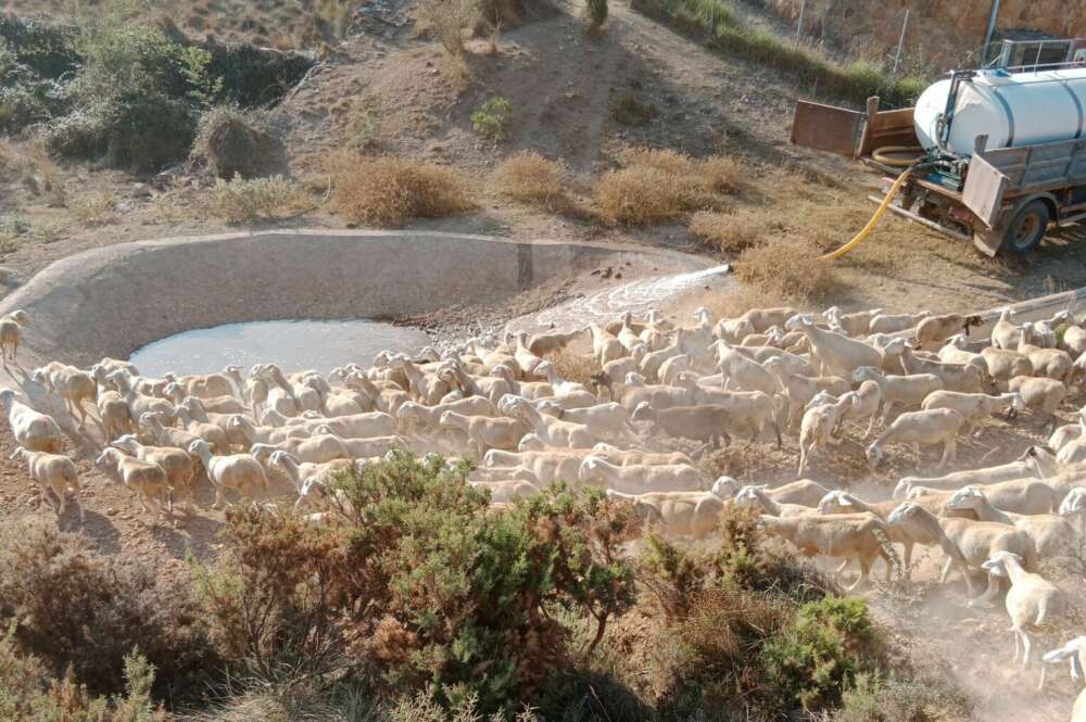 Un camió que va tirant aigua