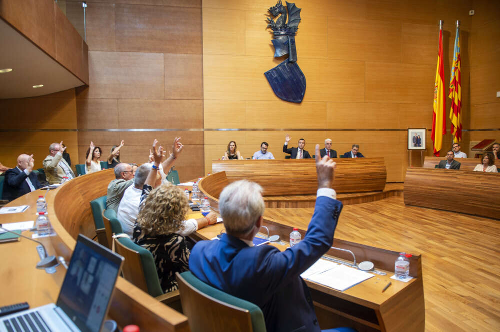 Pleno de la Diputación de Alicante