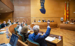 Pleno de la Diputación de Alicante