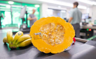 Calabaza de asar en Mercadona