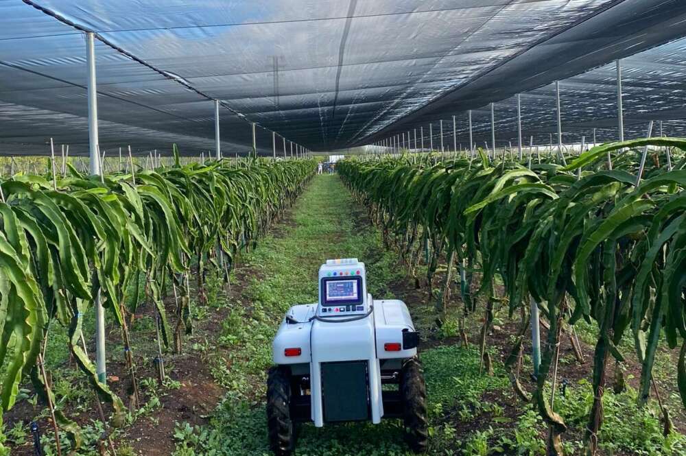 Robot agricultura de Ivace