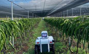 Robot agricultura de Ivace