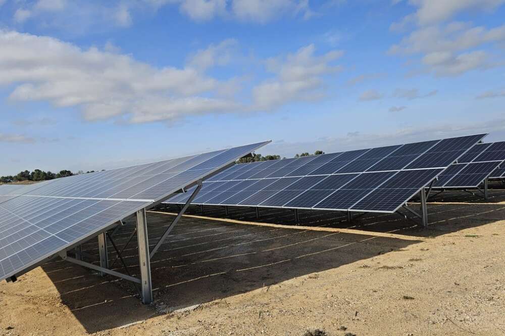 Planta fotovoltaica de Incarlopsa, proveedor de jamón de Mercadona