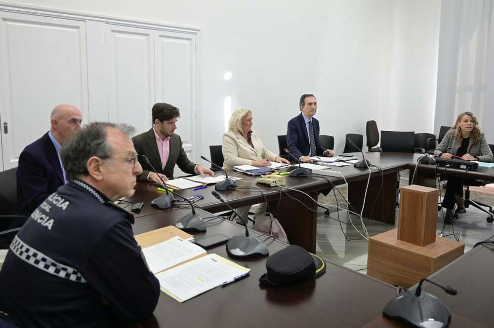 Caballero en la Comision de la DANA en Valencia