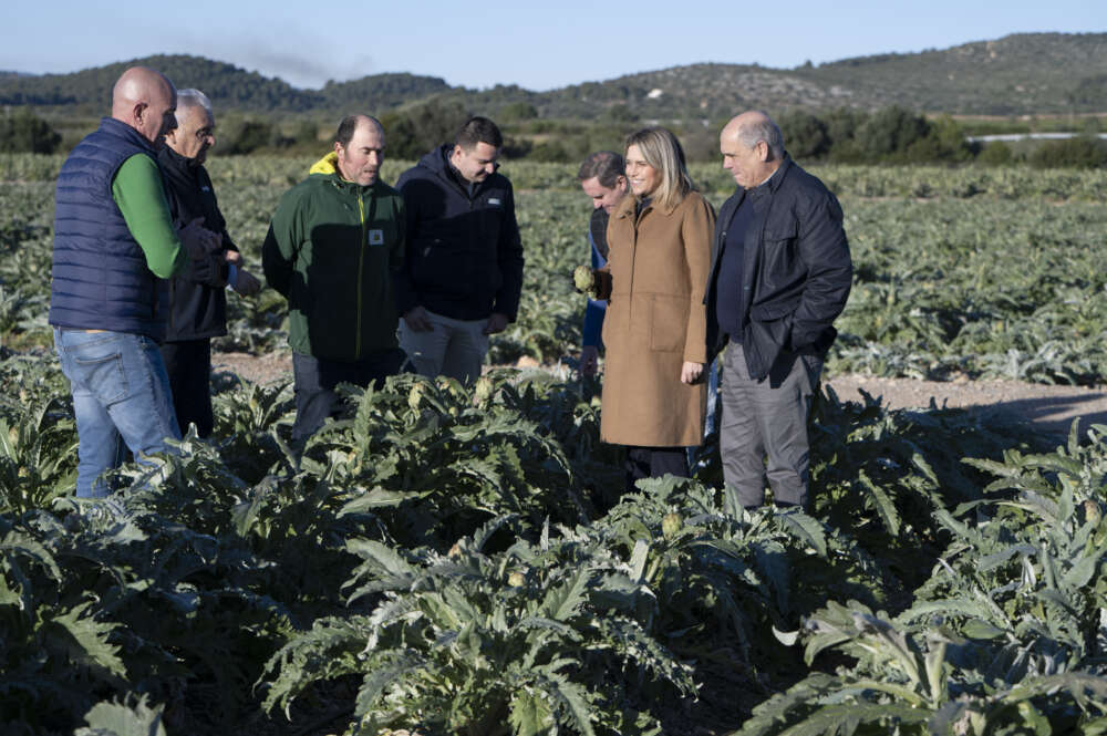 Carxofa de Benicarló