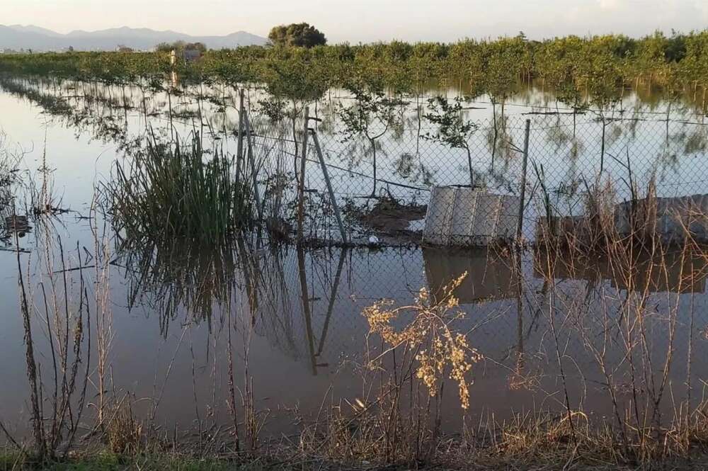 Un campo de agricultura primario abandonado en Valencia