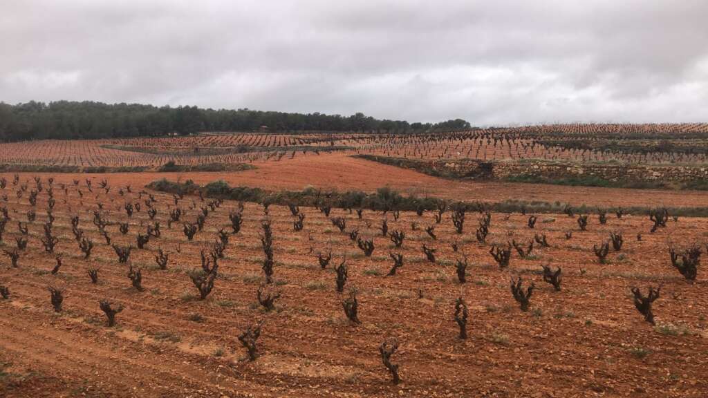 Lluvias en los campos valencianos (Foto: Ava-Asaja)