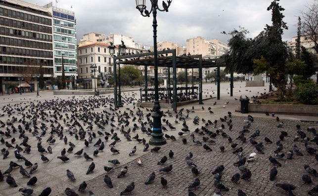 Una plaza en Atenas, Grecia, el 23 de marzo de 2020, llena de palomas y no de personas | EFE/EPA/AB