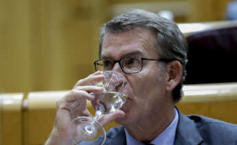 MADRID, 20/09/2022.-El líder del PP, Alberto Núñez Feijóo durante el pleno del Senado, este martes en Madrid. EFE / JuanJo Martín