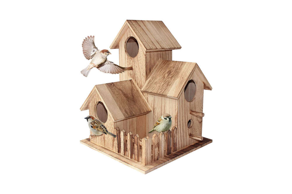 Casas para pájaros para tu jardín o balcón - Economía Digital