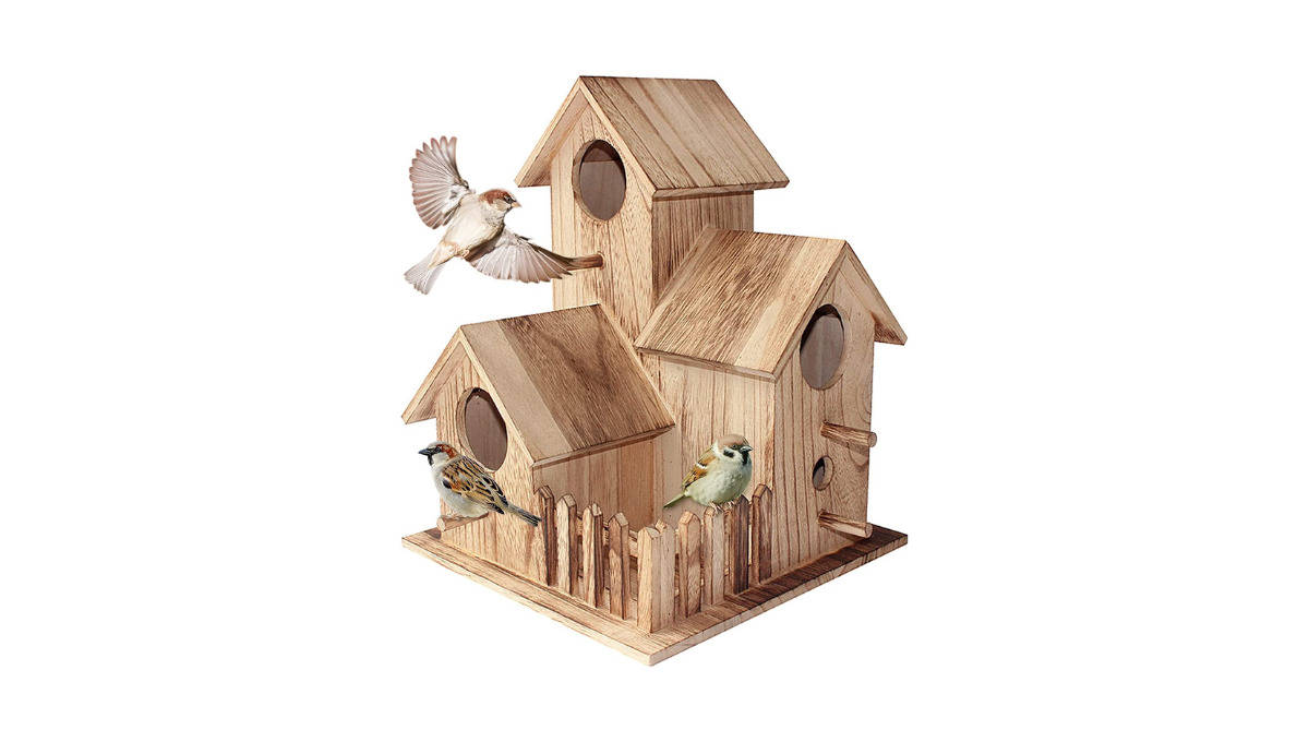 Dormitorio Asombro equilibrar Casas para pájaros para tu jardín o balcón - Economía Digital