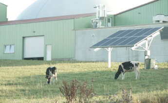 Proyecto de Iberdrola en la granja Kirch. Foto: Iberdrola.