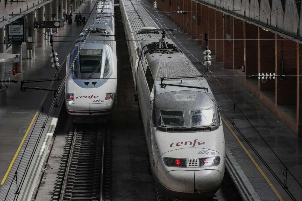 La promoción abarca los viajes con trenes AVE, Alvia, Euromed e Intercity. EFE/José Manuel Vidal