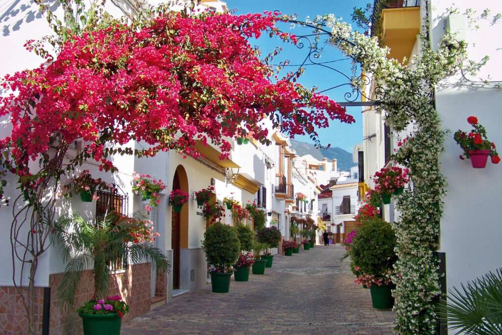 Un grueso de las ciudades afectadas se sitúa al sur del país. Foto: Ayuntamiento de Estepona.