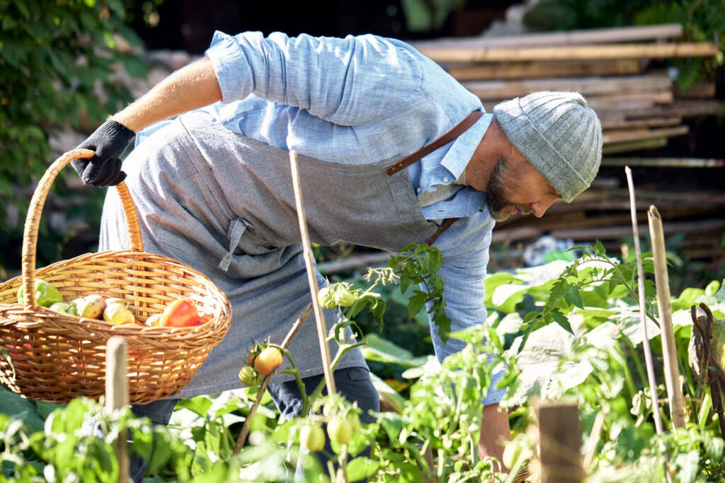 El SEPE exige a los beneficiarios que participen en la búsqueda activa de empleo. Foto: Envato