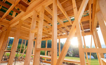 Construcción caseta de jardín de madera. Foto: Envato