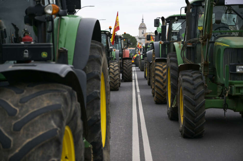 CIUDAD REAL, 07/02/2024.- Agricultores y ganaderos protestan este jueves en Ciudad Real para reclamar una agricultura más rentable que les permita hacer sostenibles en el futuro sus explotaciones agrarias y ganaderas. EFE/Jesús Monroy