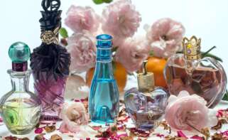 Un conjunto de perfumes variados
