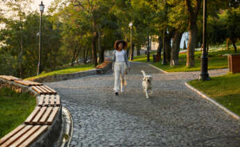 Una mujer pasea un perro.