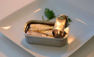sardinas en lata presentadas en un plato