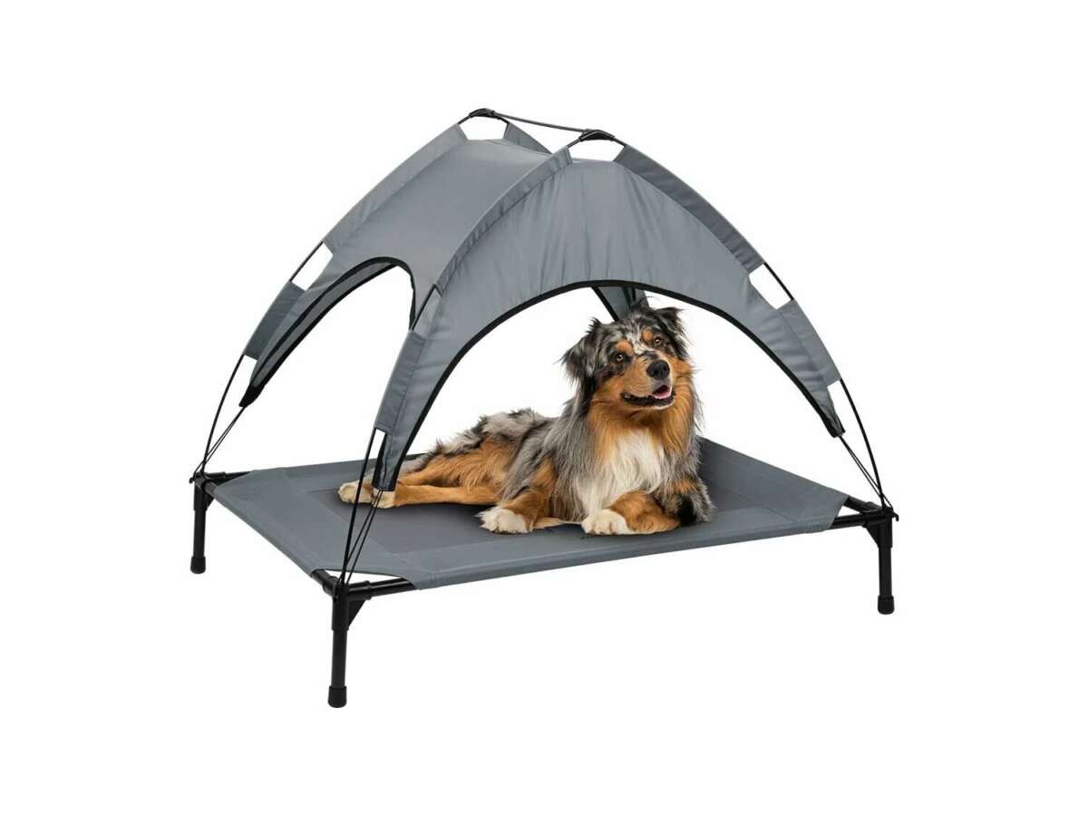 La cama con parasol para perro de Zoofari, disponible en Lidl.