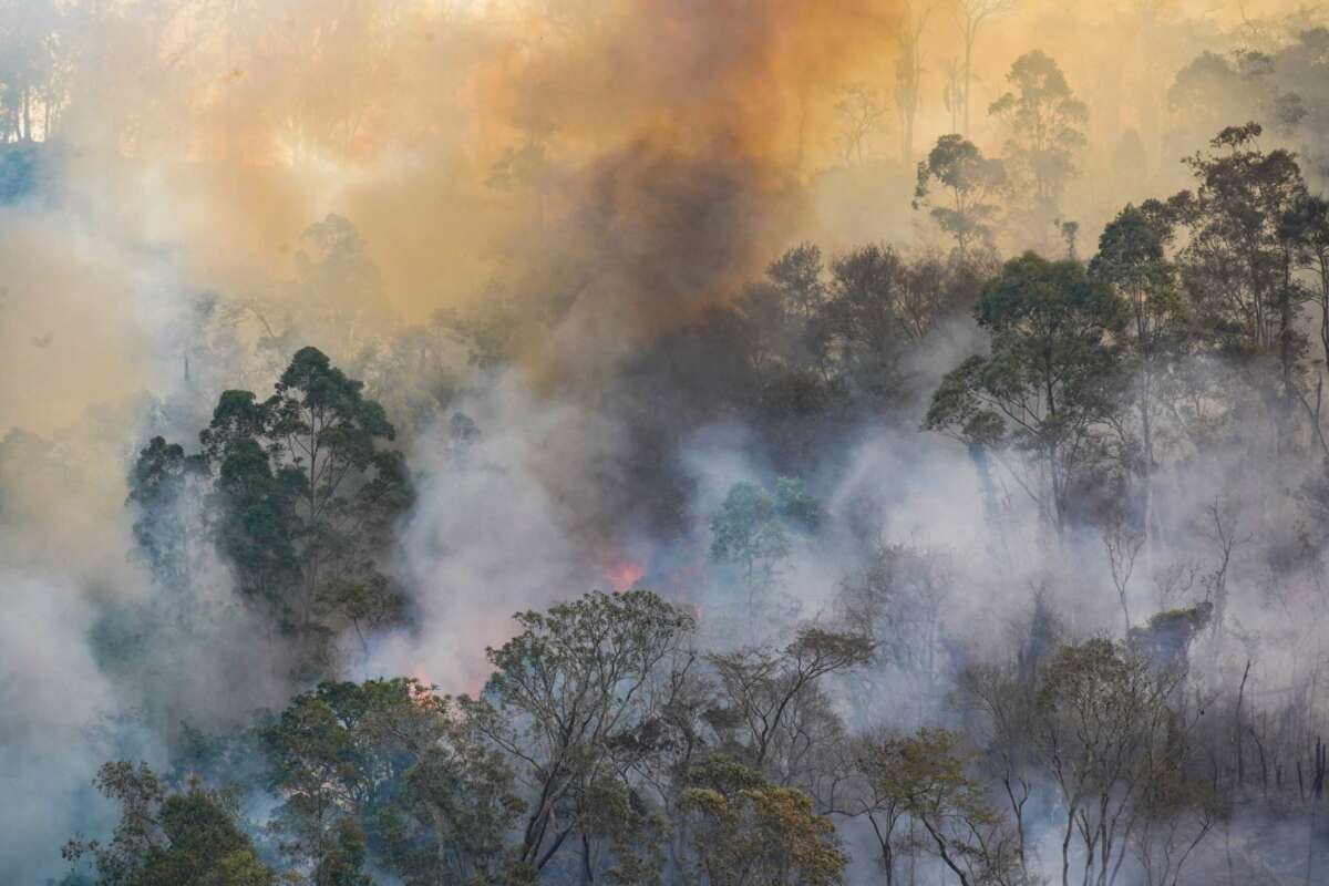 incapacidad permanente ayuda desastre natural