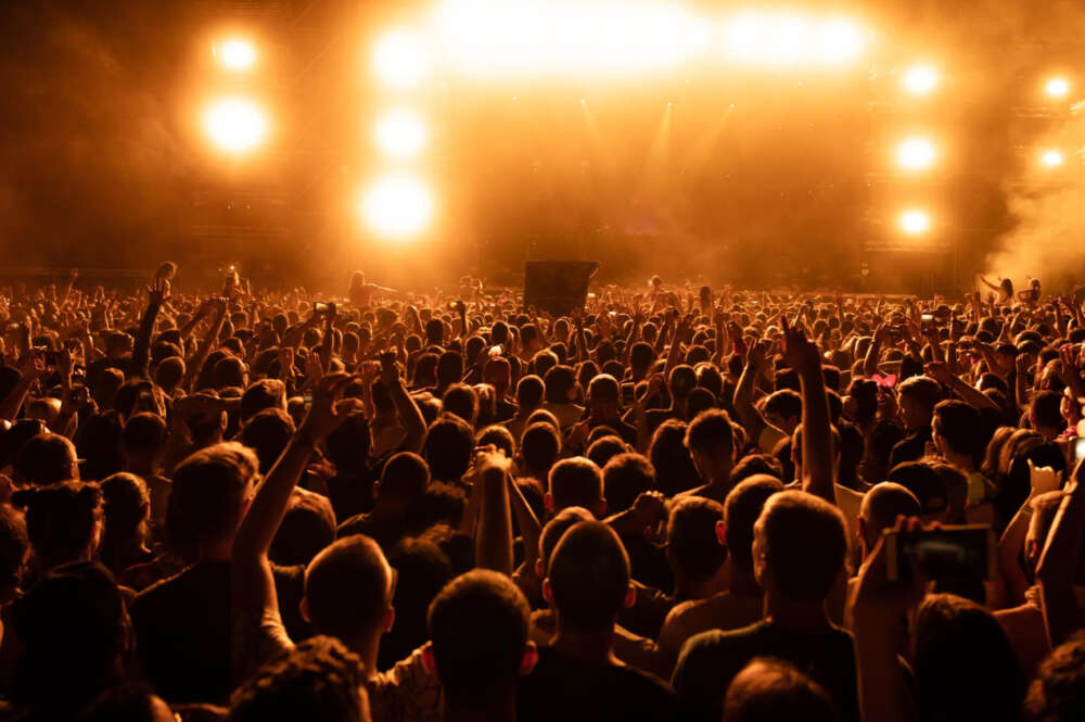 Jóvenes en un concierto.