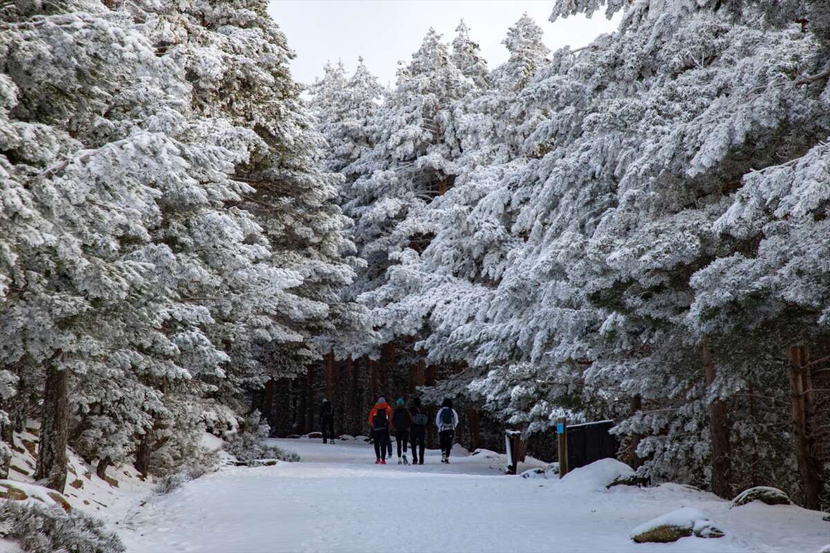 La Aemet prevé que la cota de nieve comience en los 1.000 metros y que ascienda rápidamente hasta alcanzar los 2.000 metros. Foto: Rafael Bastante / Europa Press
