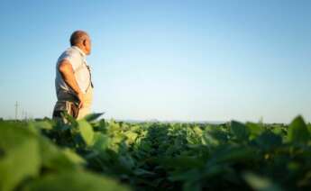 Un agricultor mira con preocupación la cosecha. Foto: Freepik.