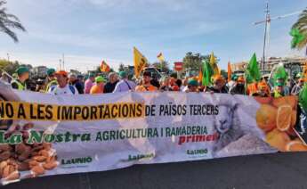 Protesta de la Unió Llauradora i Ramadera en el Puerto de Valencia. LA UNIÓ