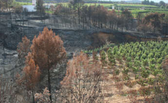 Un incendio. Foto: Fuvama.