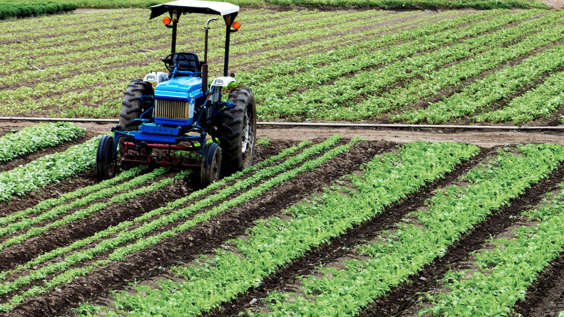 Agricultura tractor