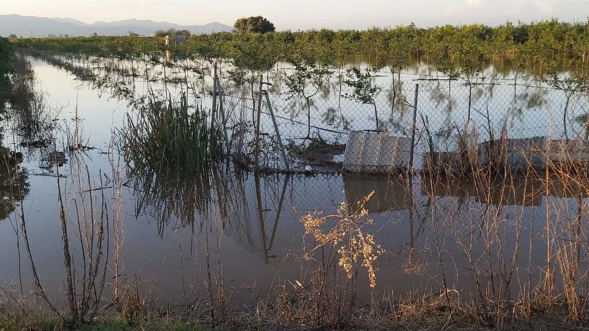 Un campo de agricultura primario abandonado en Valencia