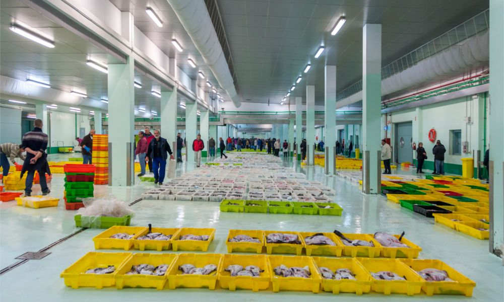 Descargas de pesca fresca en la Lonja de A Coruña