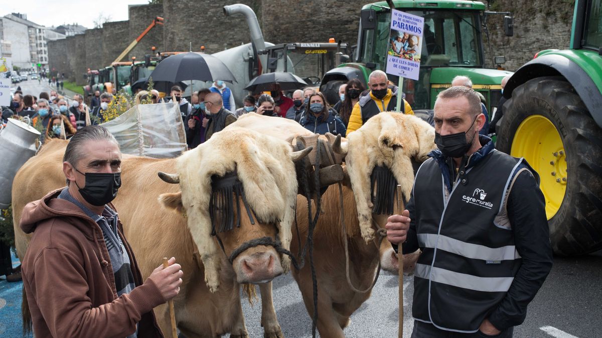 Protesta de los ganaderos convocada por Agromuralla en Lugo / EP