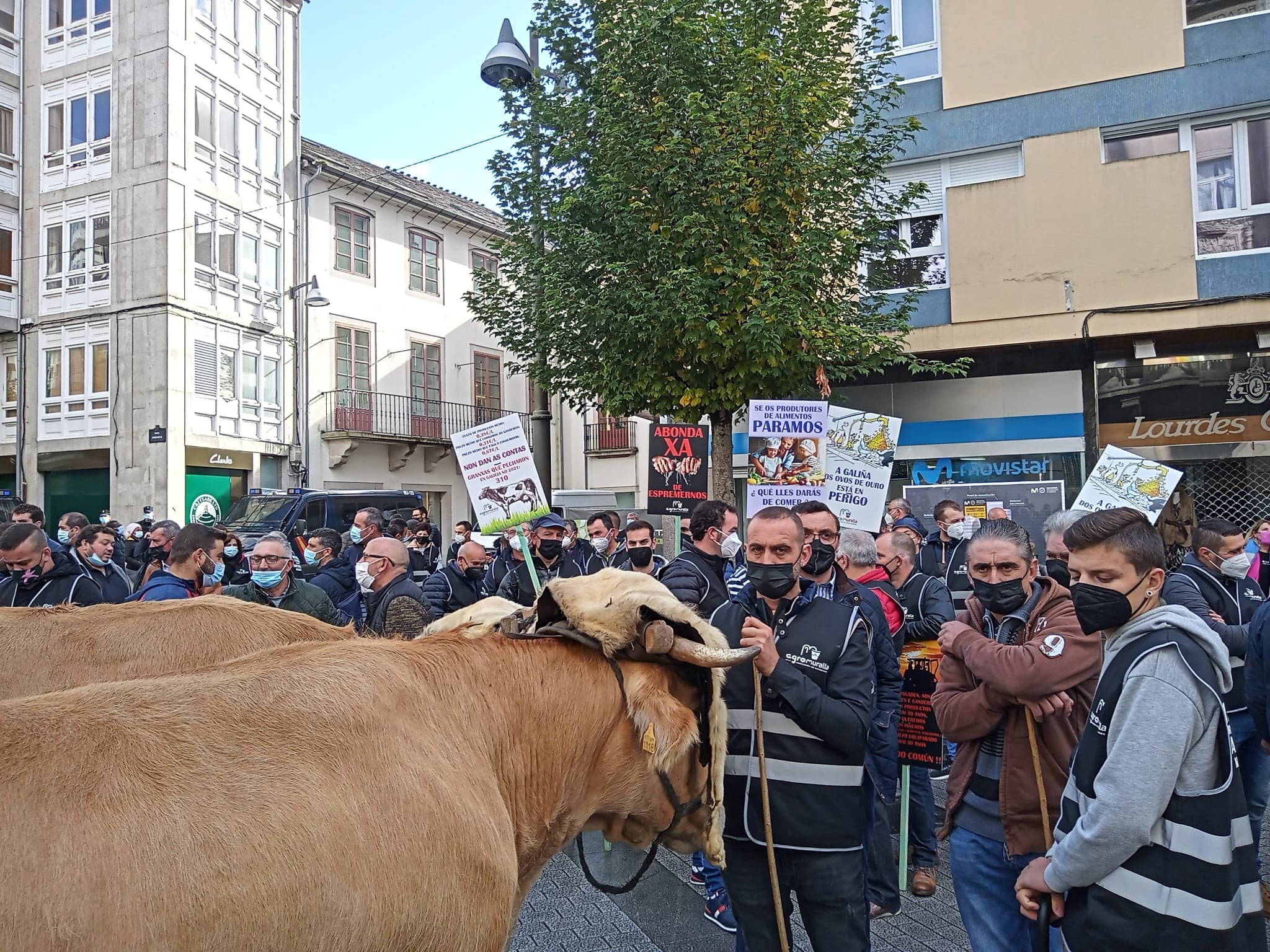 Protesta de ganaderos en Lugo / Agromuralla