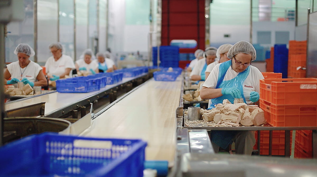 Trabajadores de Escurís, del grupo Jealsa, elaborando conservas de atún / Jealsa