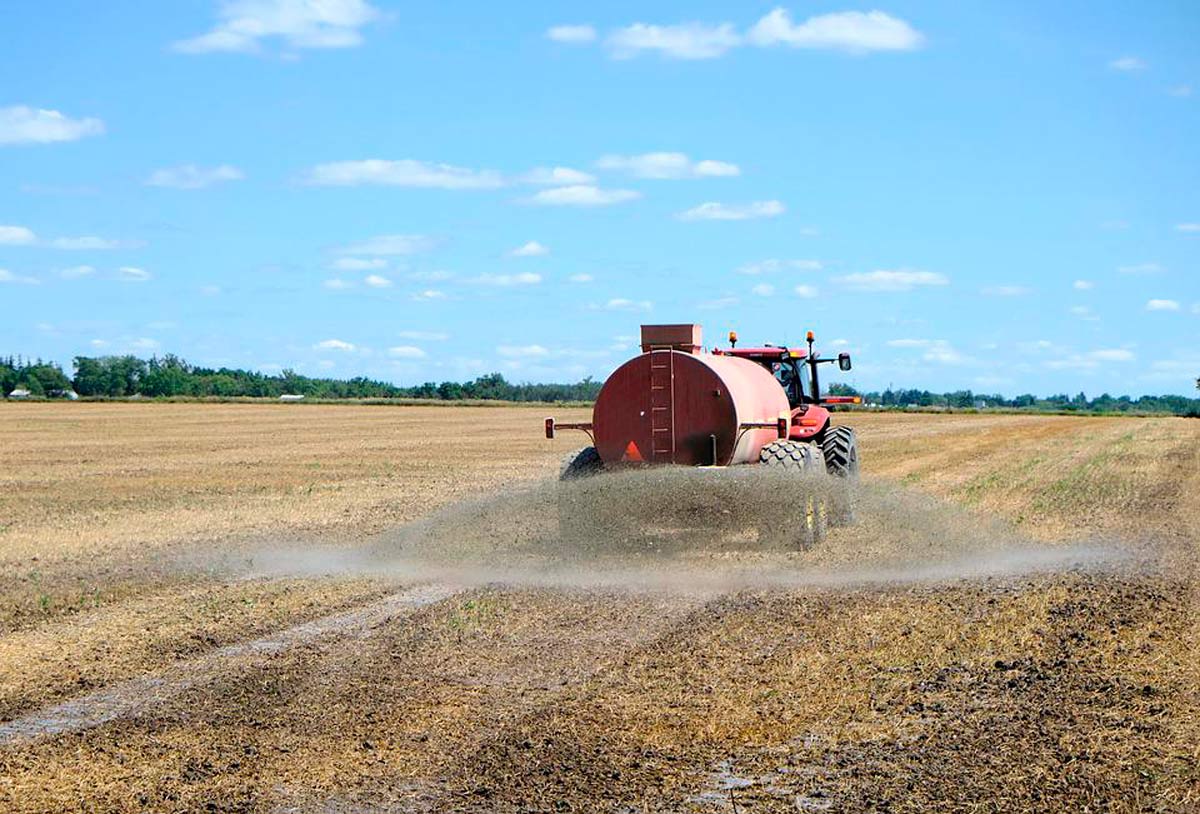 Agricultor aplicando fertilizante al cultivo