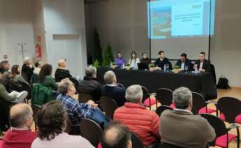 Imagen del encuentro del Igape, el Concello de As Pontes y representantes de Ence para explicar el proyecto de la pastera