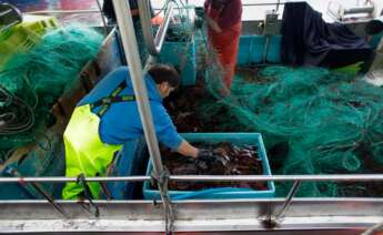 Pescadores descargan el pescado y el marisco capturado en el Puerto de Burela