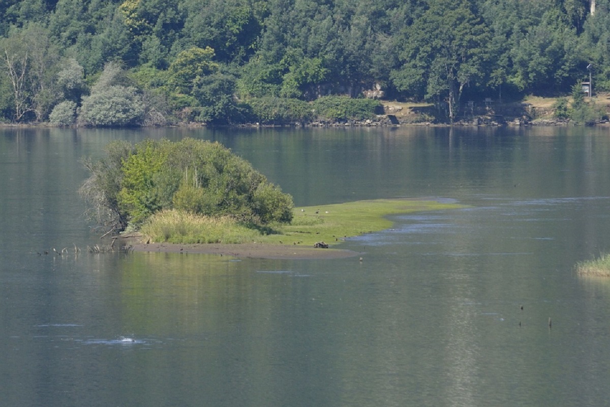 Embalse de Castrelo do Miño