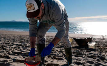 Voluntarios hacen una recogida de pellets de la arena, Galicia, a 7 de enero de 2024, en A Coruña, Galicia (España)