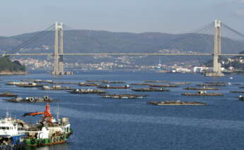 Vista del Puente de Rande y las bateas en la ría de Vigo. EFE/Salvador Sas