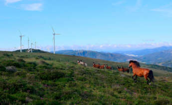 Parque eólico Ourol de Ecoener