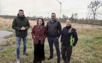 La conselleira de Economía e Industria, María Jesús Lorenzana, visita un parque de EDP repotenciado